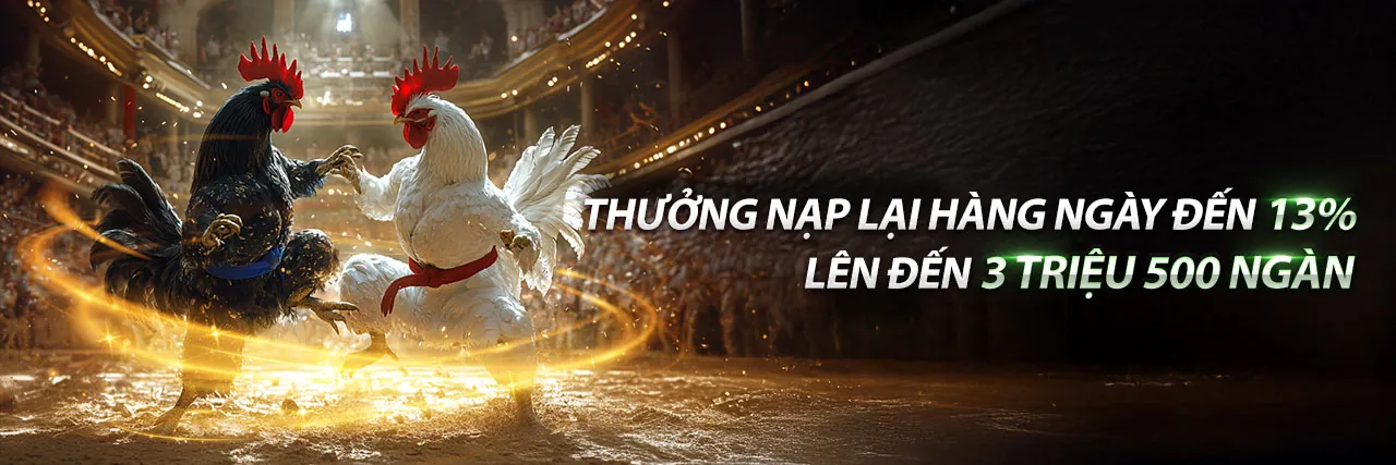 Hình ảnh chính nohu666 link mới 2026